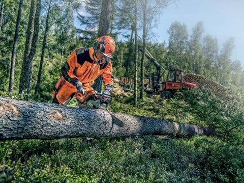 History of the Chainsaw - Celebrating 60 Years