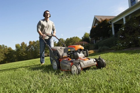 Garden Lawn Repair Guide | How To Fix a Patchy Lawn